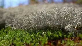 Zdjęcia: Miłośnicy Mazur - magia w zdjęciach Grzegorza - zdjęcie 13