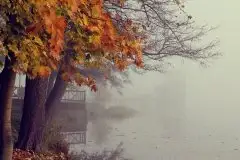 Zdjęcia: Miłośnicy Mazur - Olecko i okolice na zdjęciach Justyny - zdjęcie 20