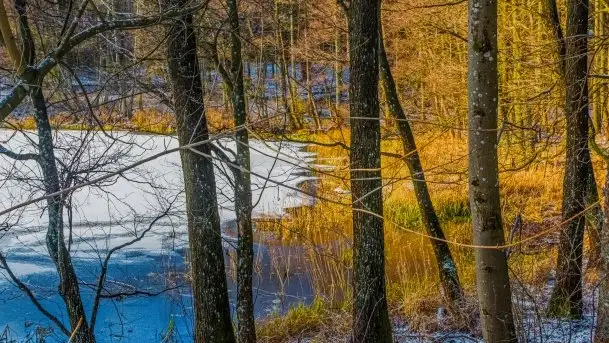 Zdjęcia: Ferie za pasem a zasp ze śniegu nie widać - zobacz zdjęcia - zdjęcie 11
