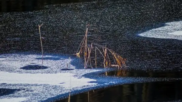 Zdjęcia: Ferie za pasem a zasp ze śniegu nie widać - zobacz zdjęcia - zdjęcie 10