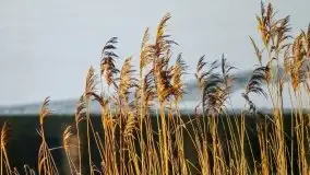 Zdjęcia: Ferie za pasem a zasp ze śniegu nie widać - zobacz zdjęcia - zdjęcie 5