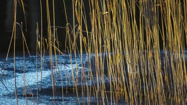 Zdjęcia: Ferie za pasem a zasp ze śniegu nie widać - zobacz zdjęcia - zdjęcie 4