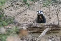 Zdjęcia: Miłośnicy Mazur - zobacz piękno niesamowitej mazurskiej przyrody - zdjęcie 27