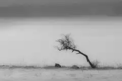 Zdjęcia: Miłośnicy Mazur - zobacz piękno niesamowitej mazurskiej przyrody - zdjęcie 18