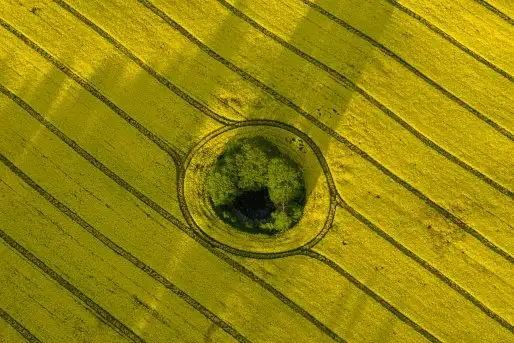 Zdjęcia: Miłośnicy Mazur - zobacz piękno niesamowitej mazurskiej przyrody - zdjęcie 4