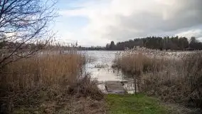 Styczniowe Wydminy bez śniegu w środku zimy - zdjęcie 55