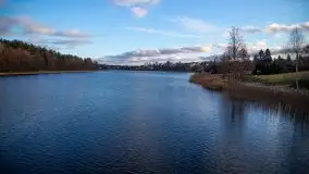 Styczniowe Wydminy bez śniegu w środku zimy - zdjęcie 36