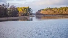 Styczniowe Wydminy bez śniegu w środku zimy - zdjęcie 34