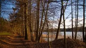 Styczniowe Wydminy bez śniegu w środku zimy - zdjęcie 30