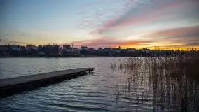 Styczniowe Wydminy bez śniegu w środku zimy - zdjęcie 16