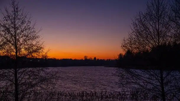 Styczniowe Wydminy bez śniegu w środku zimy - zdjęcie 11