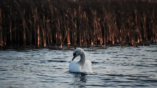Zdjęcia: Miłośnicy Mazur, dzisiaj zdjęcia Stanisława Sielewicza - zdjęcie 2