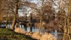 Ełk skąpany w lutowym słońcu - zdjęcie 35