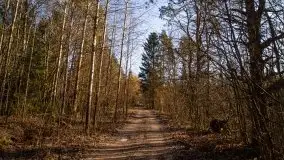 Zdjęcia: Mosty w Botkunach i Kiepojcach - tajemnicze i schowane w lasach - zdjęcie 42