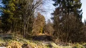 Zdjęcia: Mosty w Botkunach i Kiepojcach - tajemnicze i schowane w lasach - zdjęcie 41