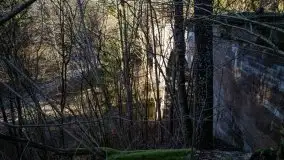 Zdjęcia: Mosty w Botkunach i Kiepojcach - tajemnicze i schowane w lasach - zdjęcie 33