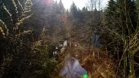 Zdjęcia: Mosty w Botkunach i Kiepojcach - tajemnicze i schowane w lasach - zdjęcie 32