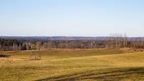 Zdjęcia: Mosty w Botkunach i Kiepojcach - tajemnicze i schowane w lasach - zdjęcie 1