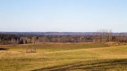 Zdjęcia: Mosty w Botkunach i Kiepojcach - tajemnicze i schowane w lasach