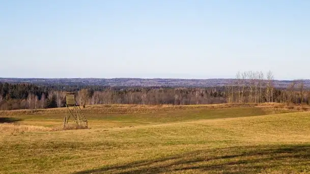 Zdjęcia: Mosty w Botkunach i Kiepojcach - tajemnicze i schowane w lasach - zdjęcie 1