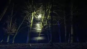 Wieczorne i nocne Giżycko, luty 2020 - zdjęcie 1