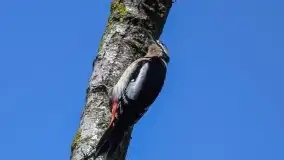 Mazurska przyroda budzi się do życia na zdjęciach Stanisława Sielewicza - zdjęcie 11