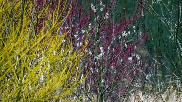 Mazurska przyroda budzi się do życia na zdjęciach Stanisława Sielewicza - zdjęcie 4