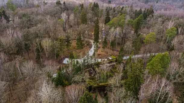 Wilczy Szaniec w Gierłoży zimą jeszcze lepiej widoczny - zdjęcie 5