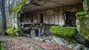 Wilczy Szaniec w Gierłoży zimą jeszcze lepiej widoczny - zdjęcie 24