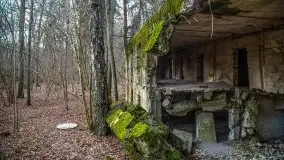 Wilczy Szaniec w Gierłoży zimą jeszcze lepiej widoczny - zdjęcie 25