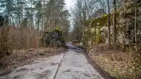 Wilczy Szaniec w Gierłoży zimą jeszcze lepiej widoczny - zdjęcie 33