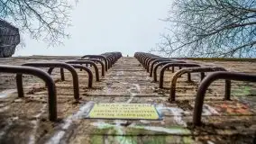 Wilczy Szaniec w Gierłoży zimą jeszcze lepiej widoczny - zdjęcie 34