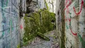 Wilczy Szaniec w Gierłoży zimą jeszcze lepiej widoczny - zdjęcie 35