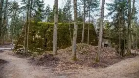 Wilczy Szaniec w Gierłoży zimą jeszcze lepiej widoczny - zdjęcie 74