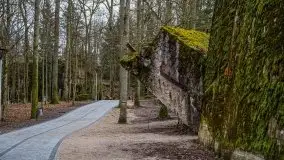 Wilczy Szaniec w Gierłoży zimą jeszcze lepiej widoczny - zdjęcie 93