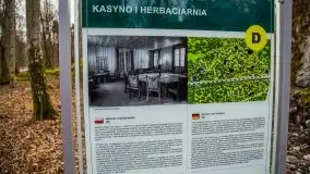 Wilczy Szaniec w Gierłoży zimą jeszcze lepiej widoczny - zdjęcie 108