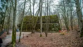 Wilczy Szaniec w Gierłoży zimą jeszcze lepiej widoczny - zdjęcie 119