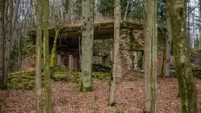 Wilczy Szaniec w Gierłoży zimą jeszcze lepiej widoczny - zdjęcie 132