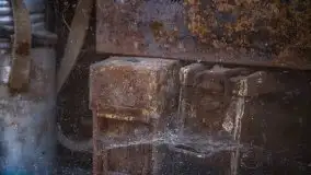 Wilczy Szaniec w Gierłoży zimą jeszcze lepiej widoczny - zdjęcie 142