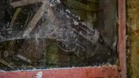 Wilczy Szaniec w Gierłoży zimą jeszcze lepiej widoczny - zdjęcie 145