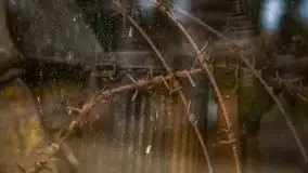 Wilczy Szaniec w Gierłoży zimą jeszcze lepiej widoczny - zdjęcie 148