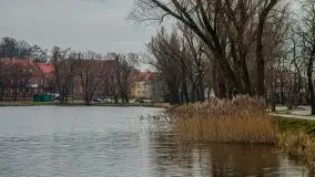 Kętrzyn w półmrokach lutego 2020 - zdjęcie 38