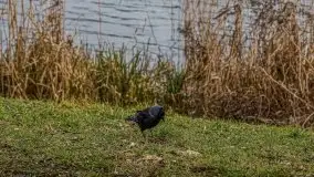 Kętrzyn w półmrokach lutego 2020 - zdjęcie 34