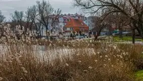 Kętrzyn w półmrokach lutego 2020 - zdjęcie 33