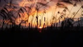 Epicki zachód słońca nad jeziorem Niegocin, luty 2020 - zdjęcie 11