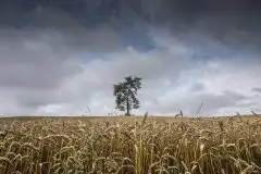 Zdjęcia: Mazurskie pejzaże na zdjęciach Janka Olchówki - zdjęcie 32