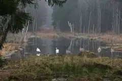 Zdjęcia: Mazurskie pejzaże na zdjęciach Janka Olchówki - zdjęcie 10