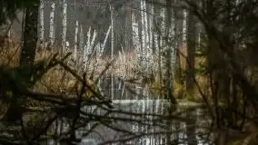 W poszukiwaniu wiosny, okolice Dobry i jez. Dobskiego - zdjęcie 14