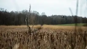 W poszukiwaniu wiosny, okolice Dobry i jez. Dobskiego - zdjęcie 17