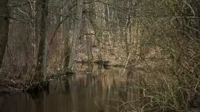 Ruciane Nida w marcowe popołudnie - zdjęcie 22